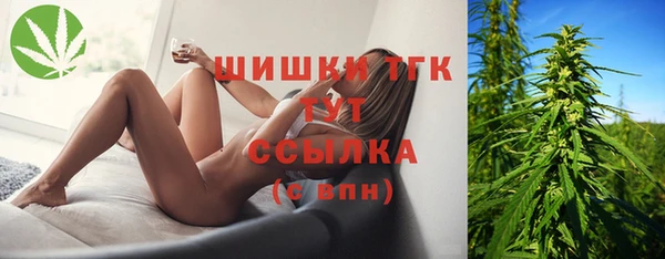 ГАЛЛЮЦИНОГЕННЫЕ ГРИБЫ Абаза