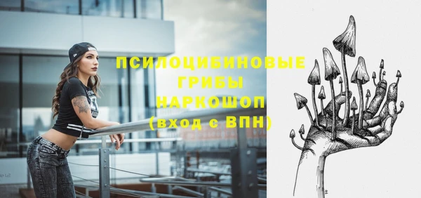 ГАЛЛЮЦИНОГЕННЫЕ ГРИБЫ Абаза