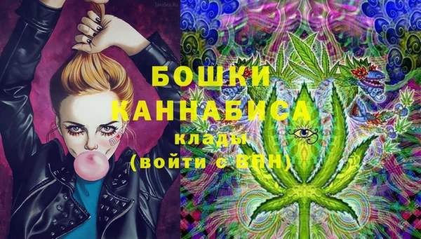 ГАЛЛЮЦИНОГЕННЫЕ ГРИБЫ Абаза