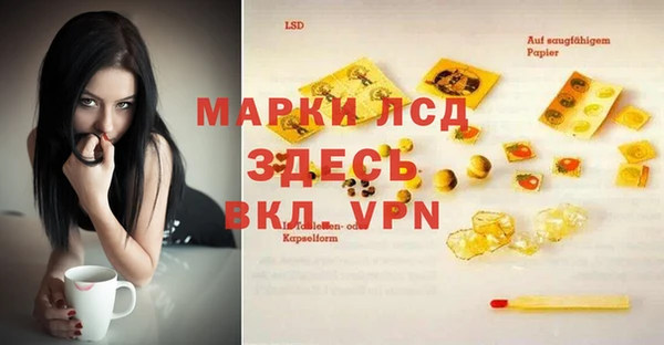 ГАЛЛЮЦИНОГЕННЫЕ ГРИБЫ Абаза
