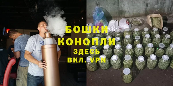 ГАЛЛЮЦИНОГЕННЫЕ ГРИБЫ Абаза