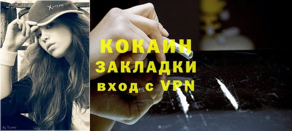 ГАЛЛЮЦИНОГЕННЫЕ ГРИБЫ Абаза