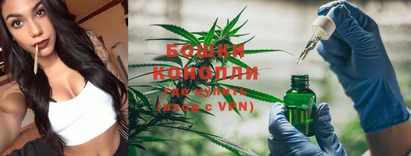 ГАЛЛЮЦИНОГЕННЫЕ ГРИБЫ Абаза